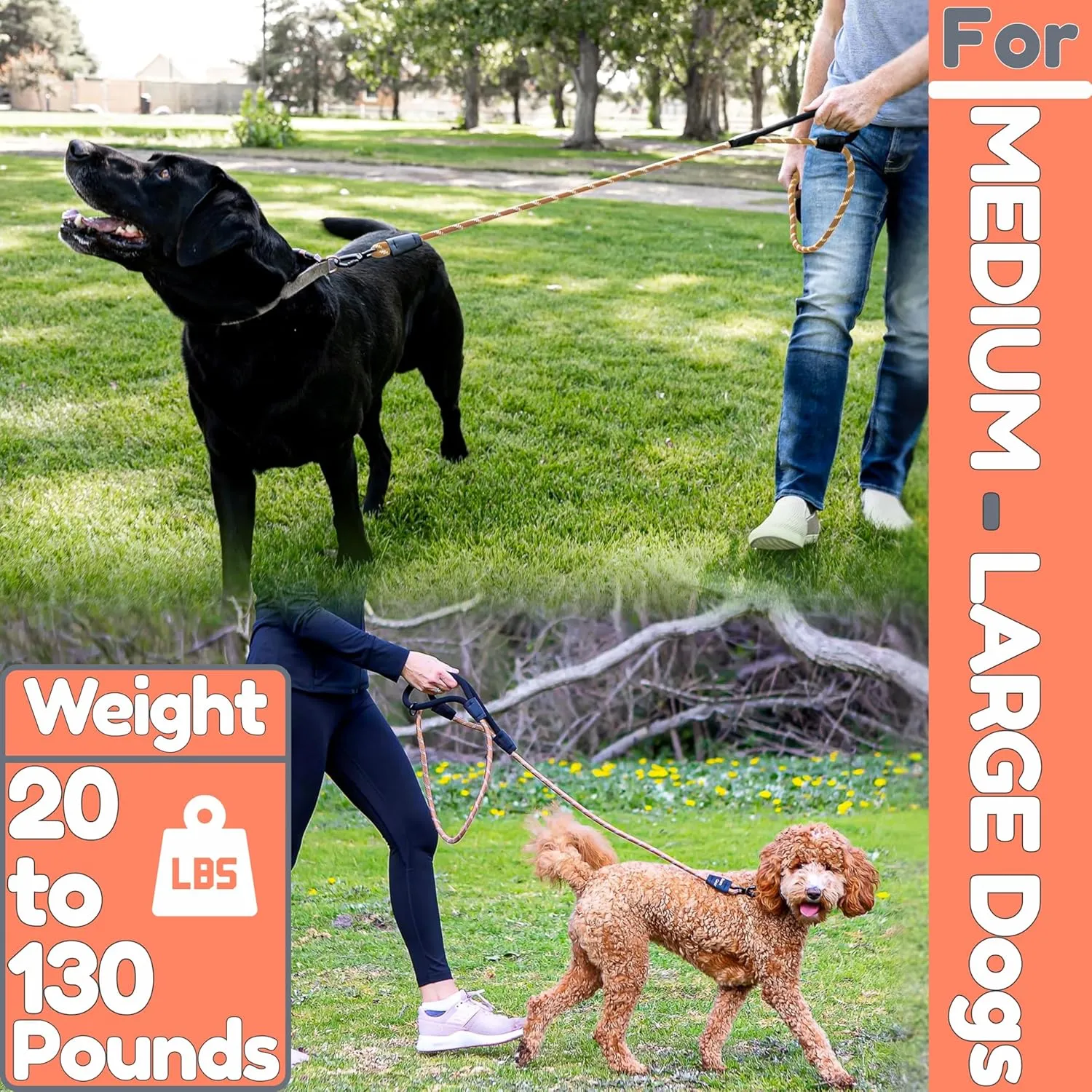6 Foot Dog Leash, Two Extra Padded Handles, Heavy Duty Dog Leash for Medium to Large Pets, Highly Reflective, Shock-Absorbing No Pull Rope Lead, Durable for Walking, Running, Training Lead - Roam Gear