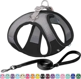 AIITLE Escape Proof Dog Harness - Step in Adjustable Dog Harness No Choke Over with Breathable Mesh and Quick-Release Buckle for Spring- Outdoor Walking, Camping, Training for Medium Dogs Black XL