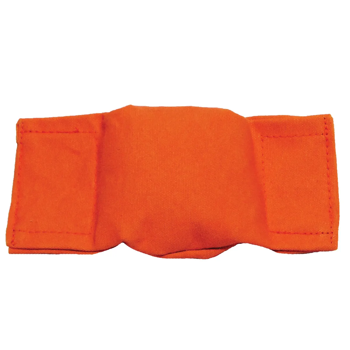 Bisley Beanbag Puppy Dummy