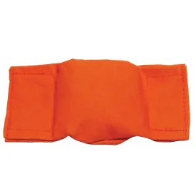 Bisley Beanbag Puppy Dummy