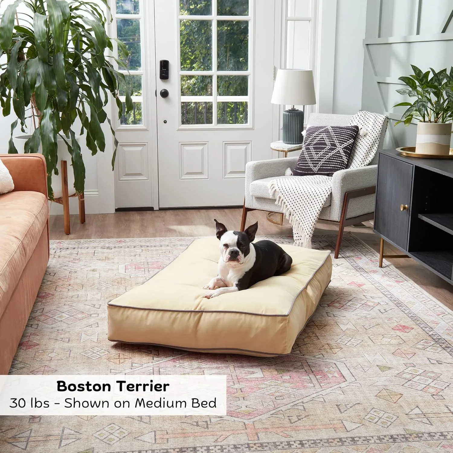 Buster Reversible Rectangle Pillow Style Dog Bed, Beige, Medium (42 x 30 in.)