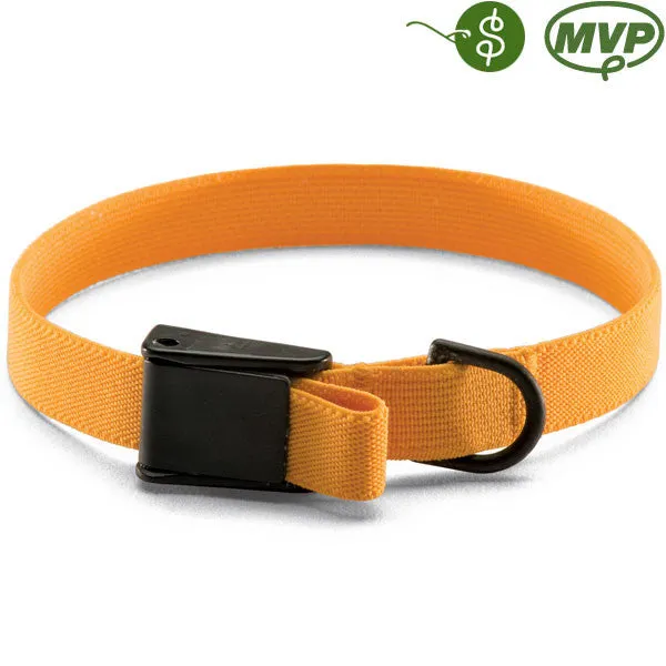Cat Stretch Training Collars – Camloc (Retail Ready)