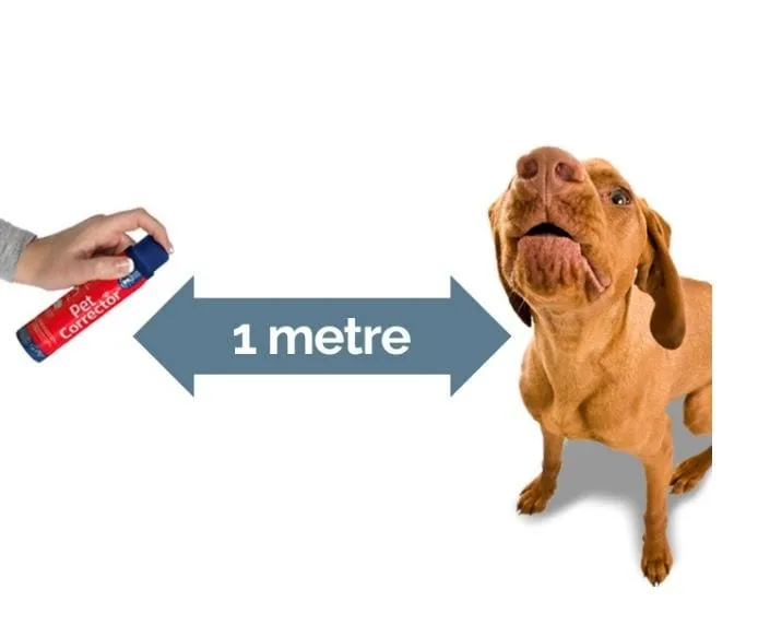 Company of Dogs Pet Corrector