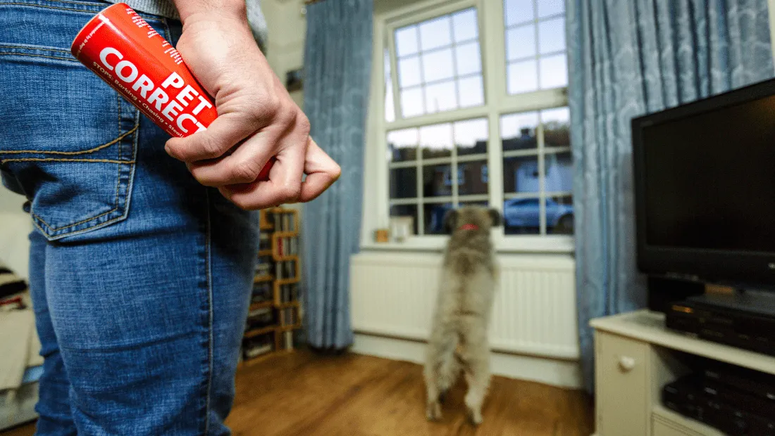 Company of Dogs Pet Corrector
