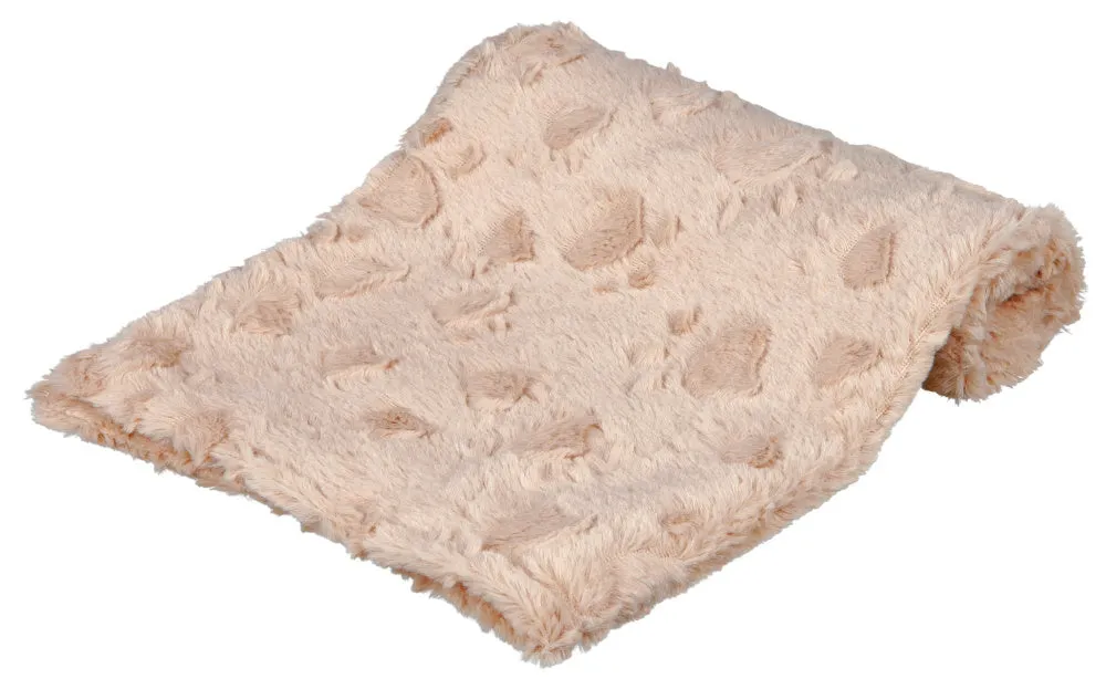 Cosy Blanket