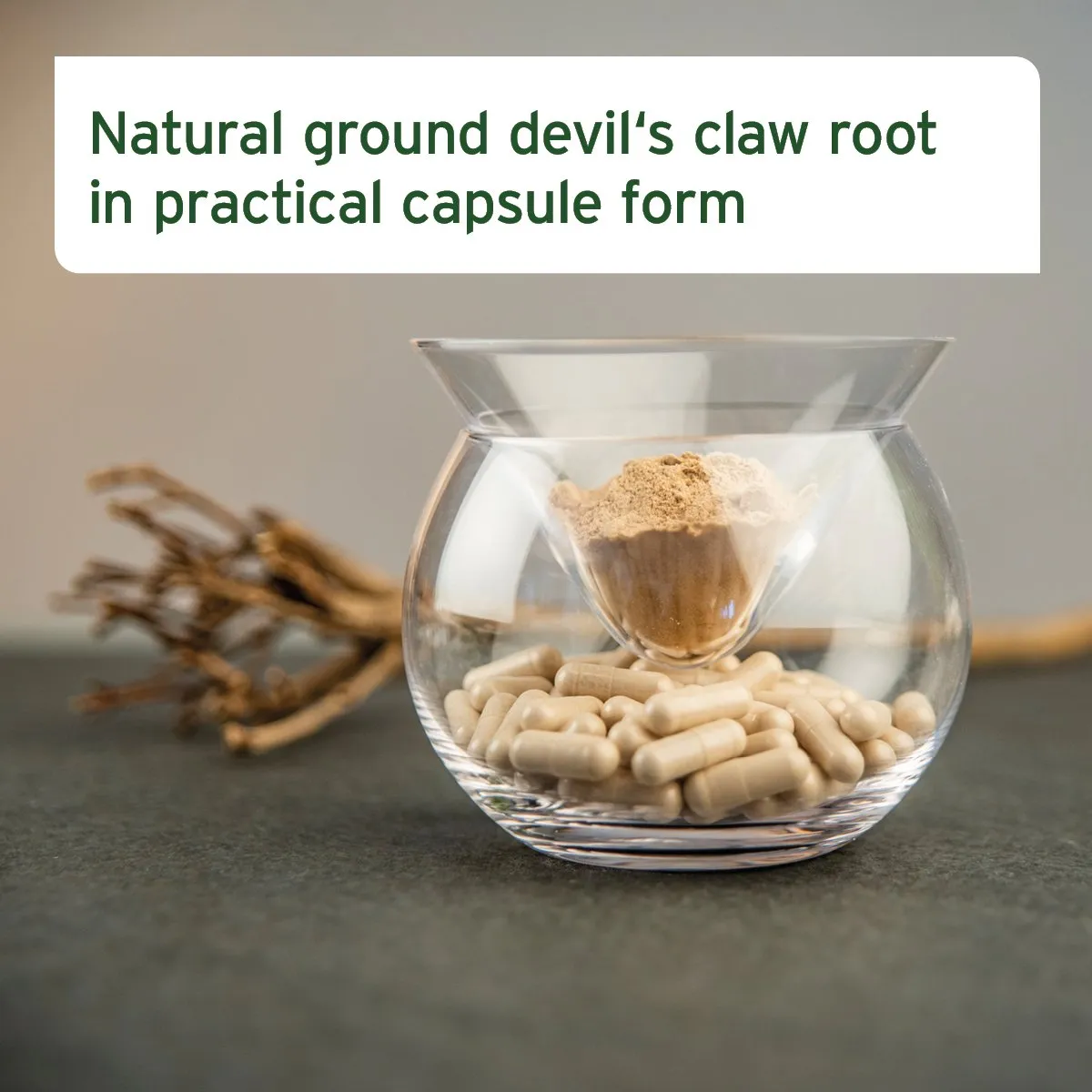 Devil’s Claw Root 100 Capsules