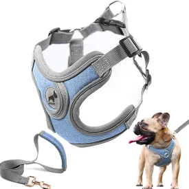 Dog Harness with Leash Set, Adjustable Step in Collars Harness with Breathable Padded Vest for Small Medium Large Dogs Training and Running(M, Blue)