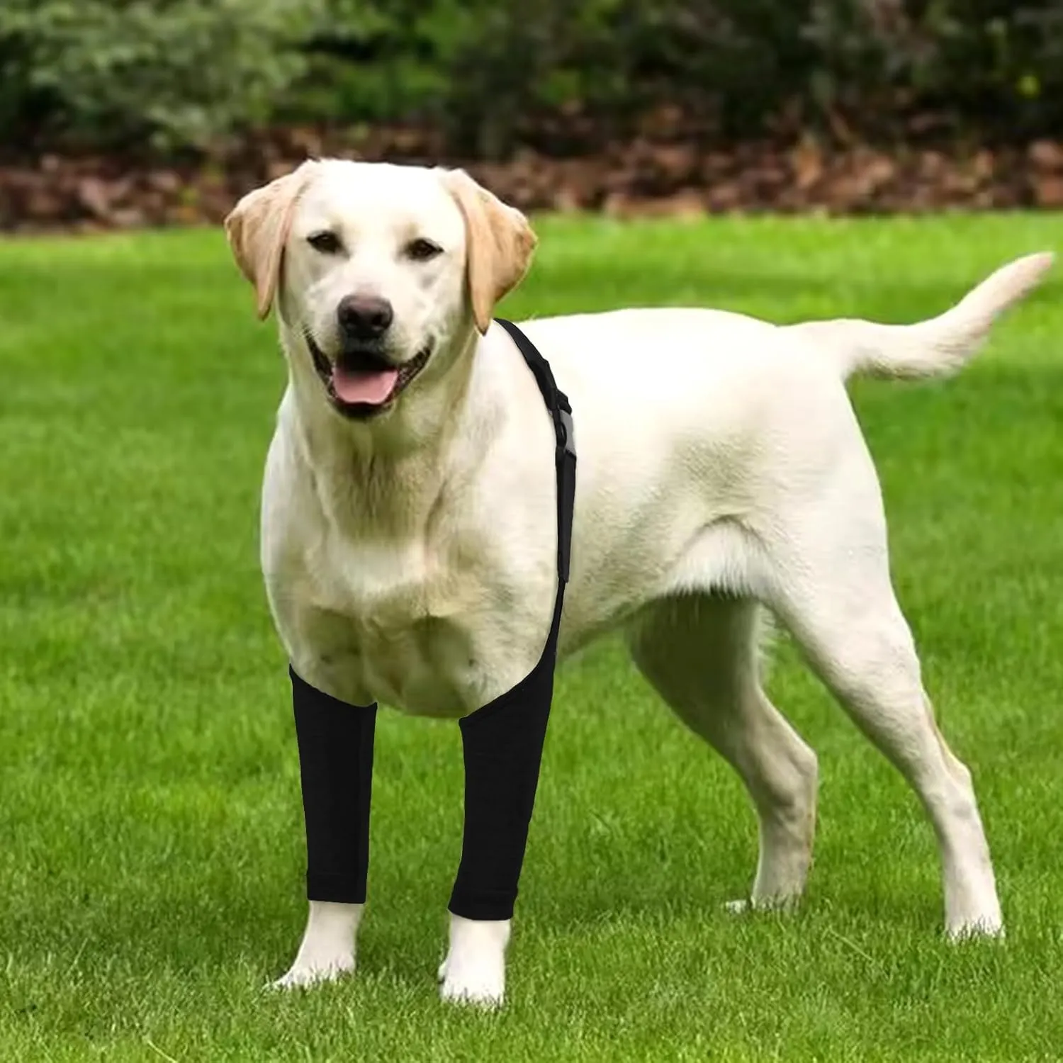 Dog Recovery Suit for Front Legs, Dog Recovery Sleeves After Surgery with Elastic Band, Soft Protective Elbow Braces for Medium Large Dogs, Cone Collar Alternative to Stop Licking Leg Wounds,Black,L