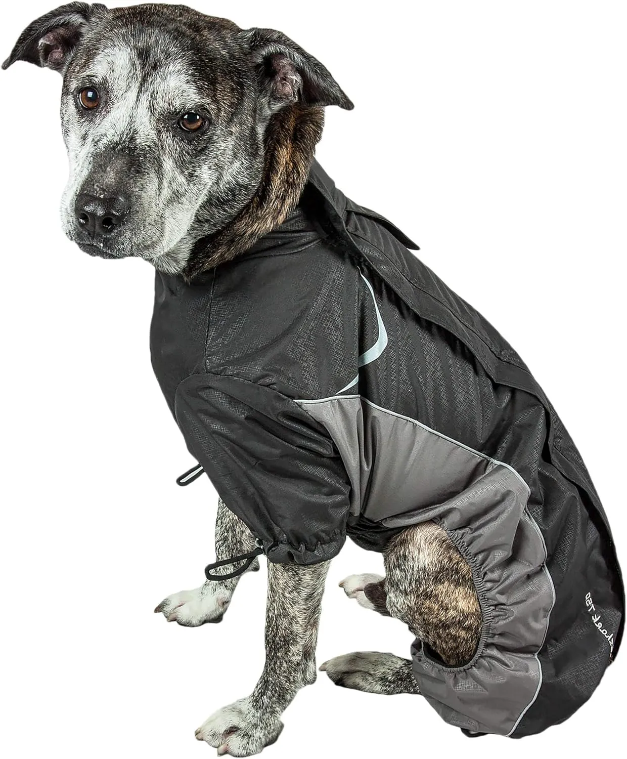 DOGHELIOS 'Blizzard' Full-Bodied Comfort-Fitted Adjustable and 3M Reflective Winter Insulated Pet Dog Coat Jacket w/ Blackshark Technology, X-Small, Black