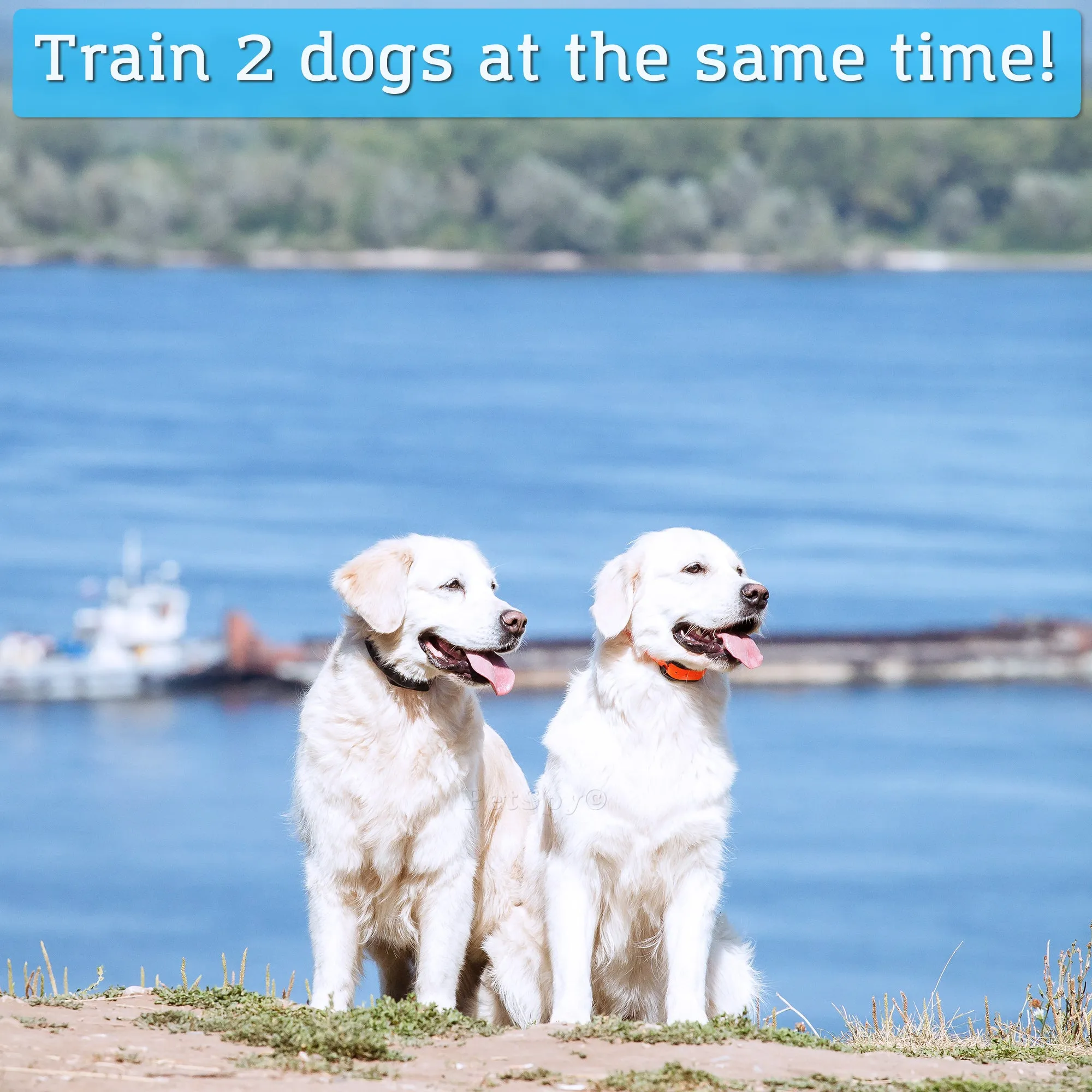 Dual dog shock collars - M86-2 Advanced training for dogs