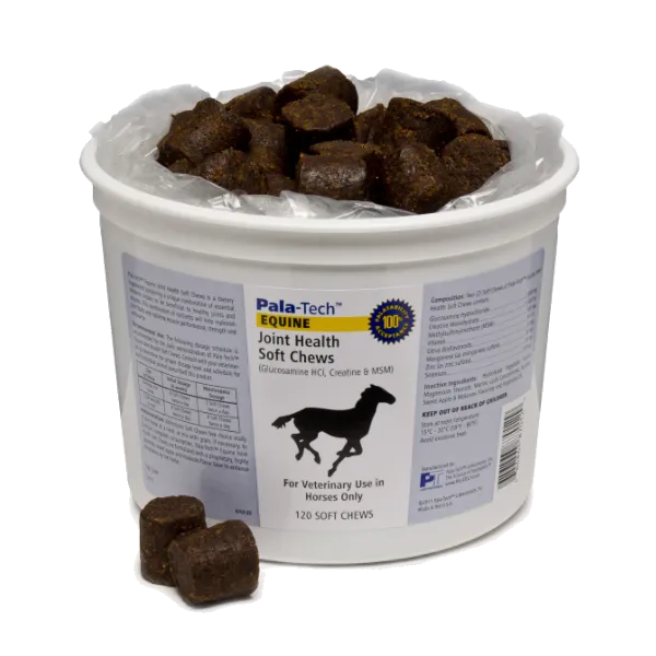 Equine Joint Health Soft Chews