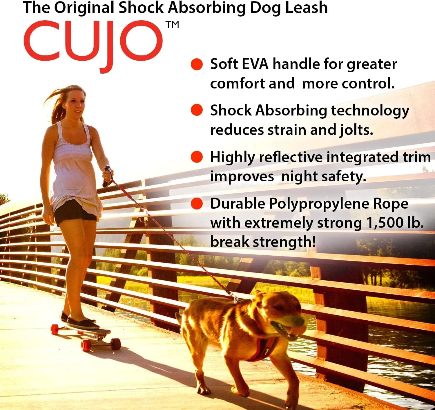 EzyDog Cujo Shock Absorbing Bungee Dog Leash - Best Dog Rope Training Lead - Reflective Trim for Nighttime Safety - Padded Pull Handle for Superior Comfort and Control (40", Blue)