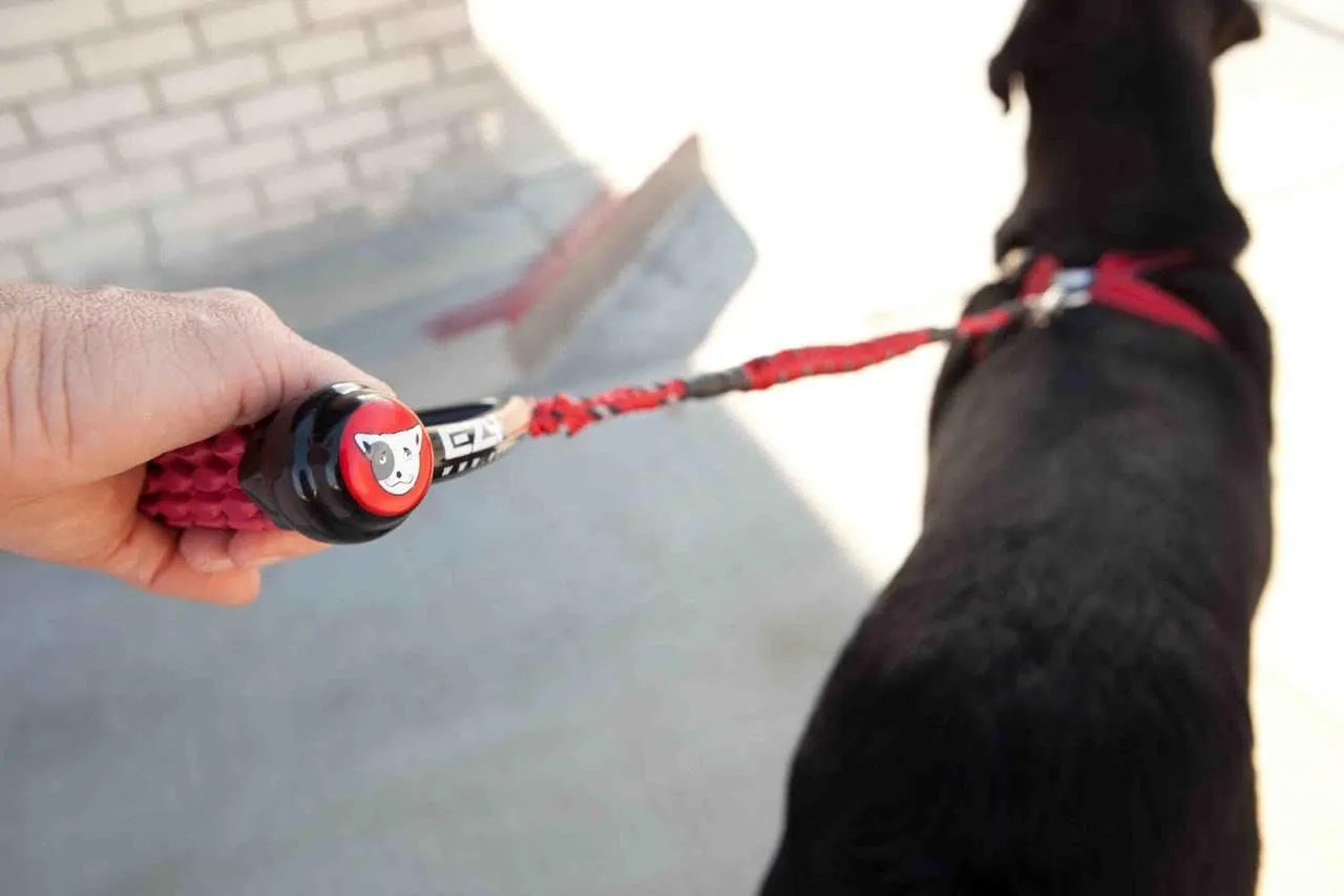EzyDog Cujo Shock Absorbing Bungee Dog Leash - Best Dog Rope Training Lead - Reflective Trim for Nighttime Safety - Padded Pull Handle for Superior Comfort and Control (40", Blue)