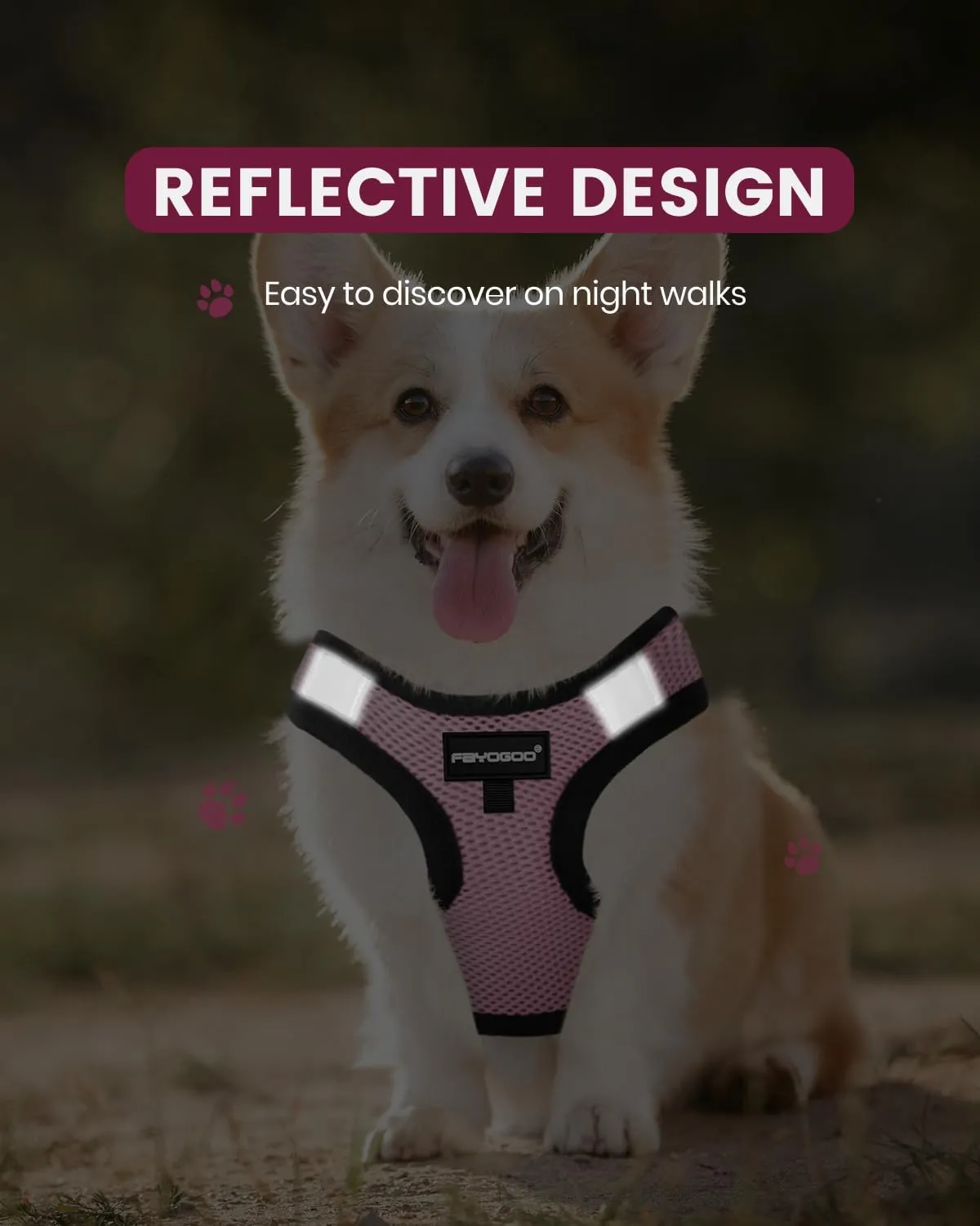 FAYOGOO Service Dog Vest for Small Breed - Lightweight Dog Harness with 6PCS Removable Patches - Puppy Harness and Leash Set for Walking,Training