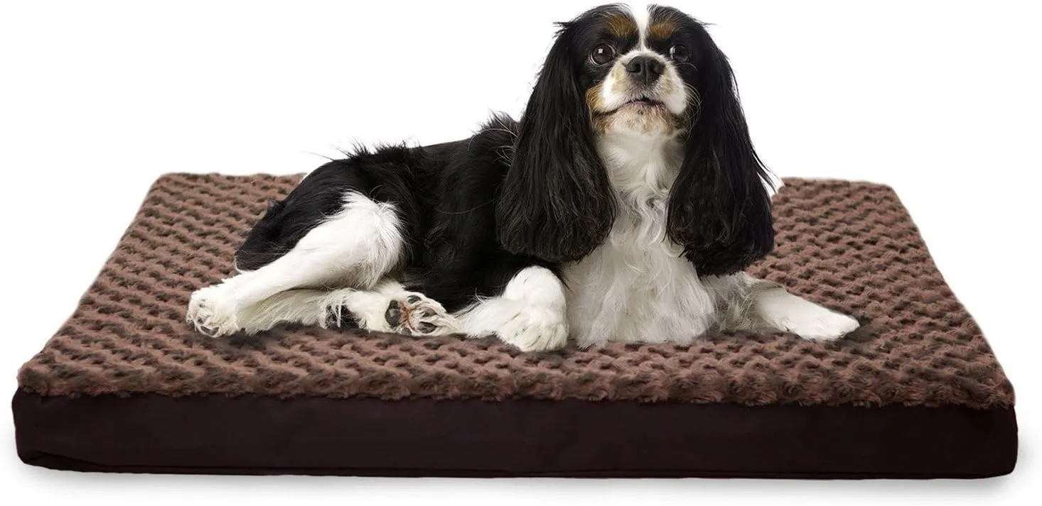 Furhaven Memory Foam Dog Bed for Medium/Small Dogs w/ Removable Washable Cover, For Dogs Up to 35 lbs - Ultra Plush Faux Fur & Suede Mattress - Cream, Medium
