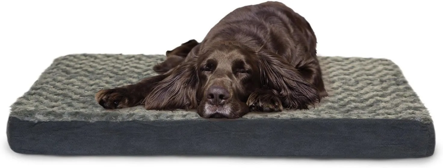 Furhaven Memory Foam Dog Bed for Medium/Small Dogs w/ Removable Washable Cover, For Dogs Up to 35 lbs - Ultra Plush Faux Fur & Suede Mattress - Cream, Medium