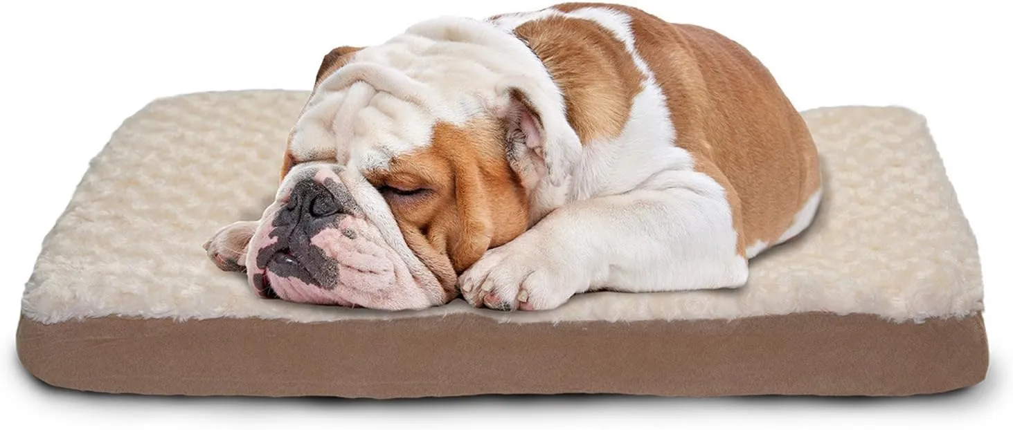 Furhaven Memory Foam Dog Bed for Medium/Small Dogs w/ Removable Washable Cover, For Dogs Up to 35 lbs - Ultra Plush Faux Fur & Suede Mattress - Cream, Medium