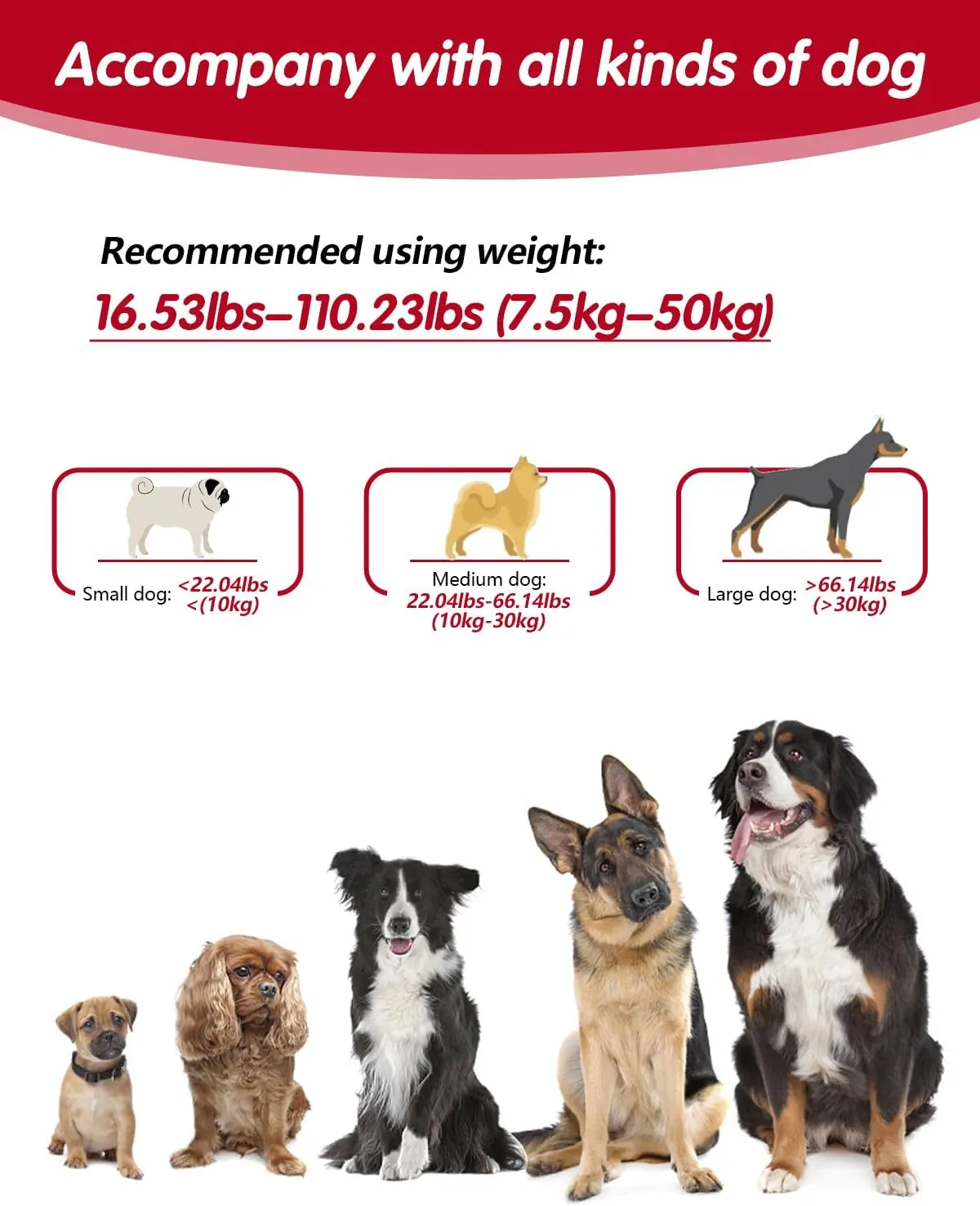 Hands Free Dog Leash, Multifunctional Crossbody Dog Leash, 5.9-9.5Ft Long Waist Belt with Car Safety Buckle and Double-Sided Reflective Stitches for Medium and Large Dogs.(Black)