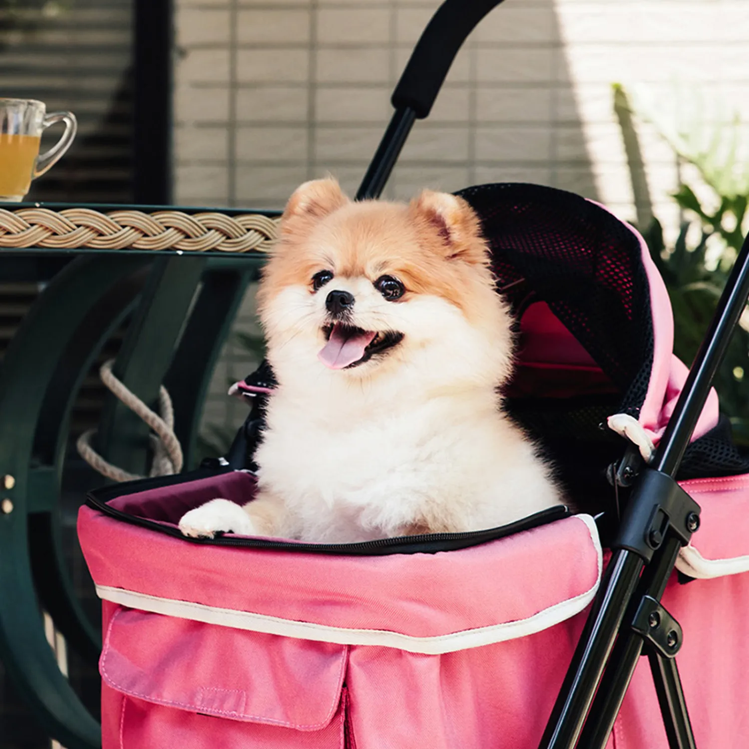 Ibiyaya Astro Go Lite Mini Pet Buggy Stroller (Rose Pink)
