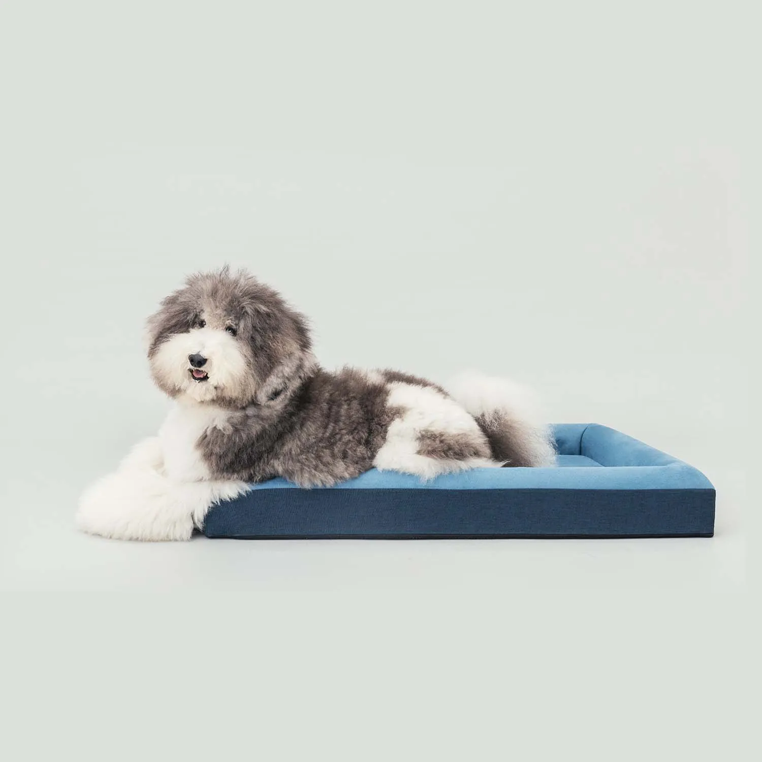 Ibiyaya Deep Sleep Orthopedic  Dog Bed