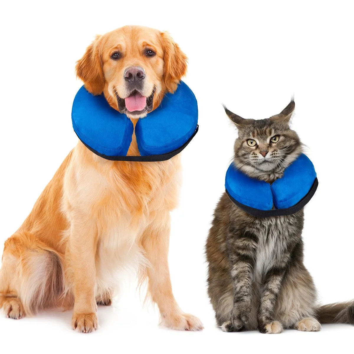 Inflatable Dog Collars-Adjustable Collars for dogs and Cats, 1 Pack (Blue)