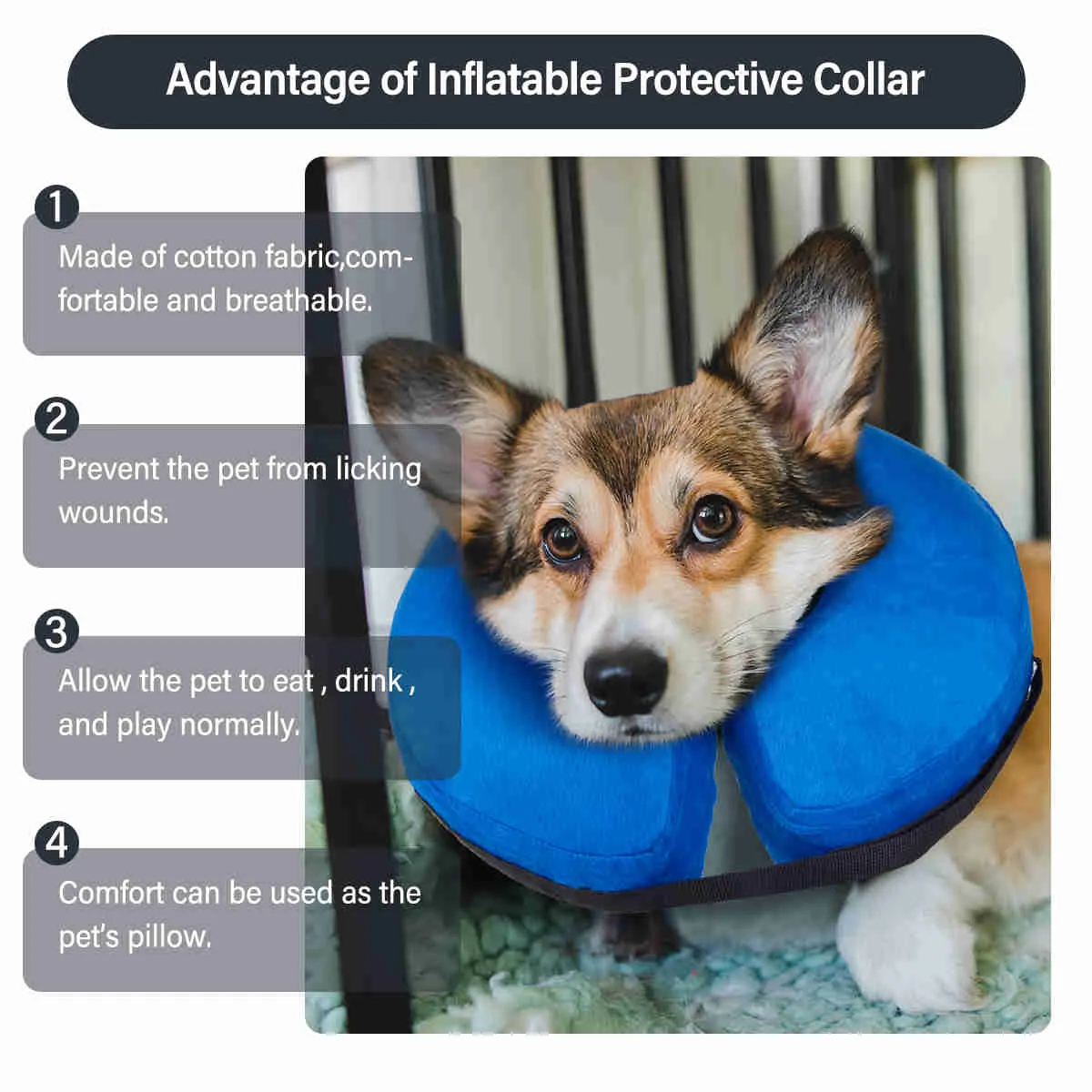 Inflatable Dog Collars-Adjustable Collars for dogs and Cats, 1 Pack (Blue)