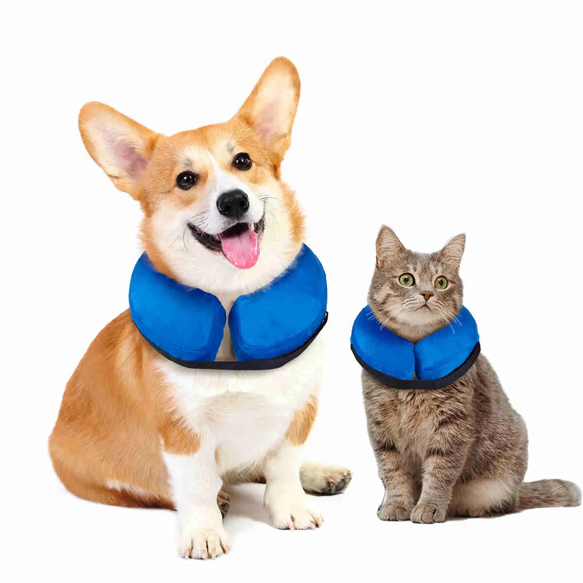 Inflatable Dog Collars-Adjustable Collars for dogs and Cats, 1 Pack (Blue)