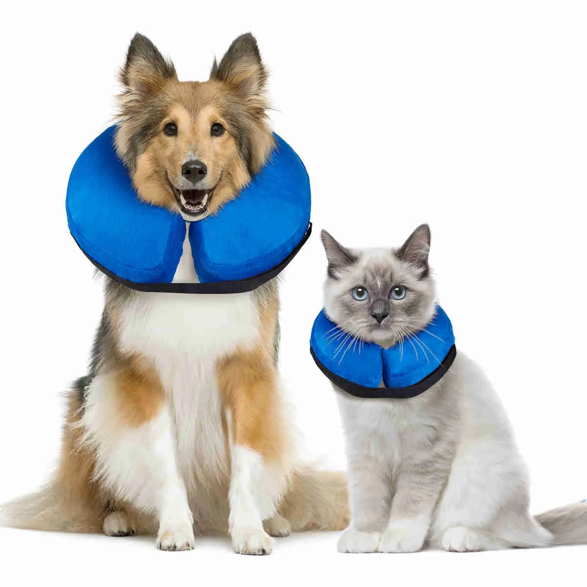 Inflatable Dog Collars-Adjustable Collars for dogs and Cats, 1 Pack (Blue)