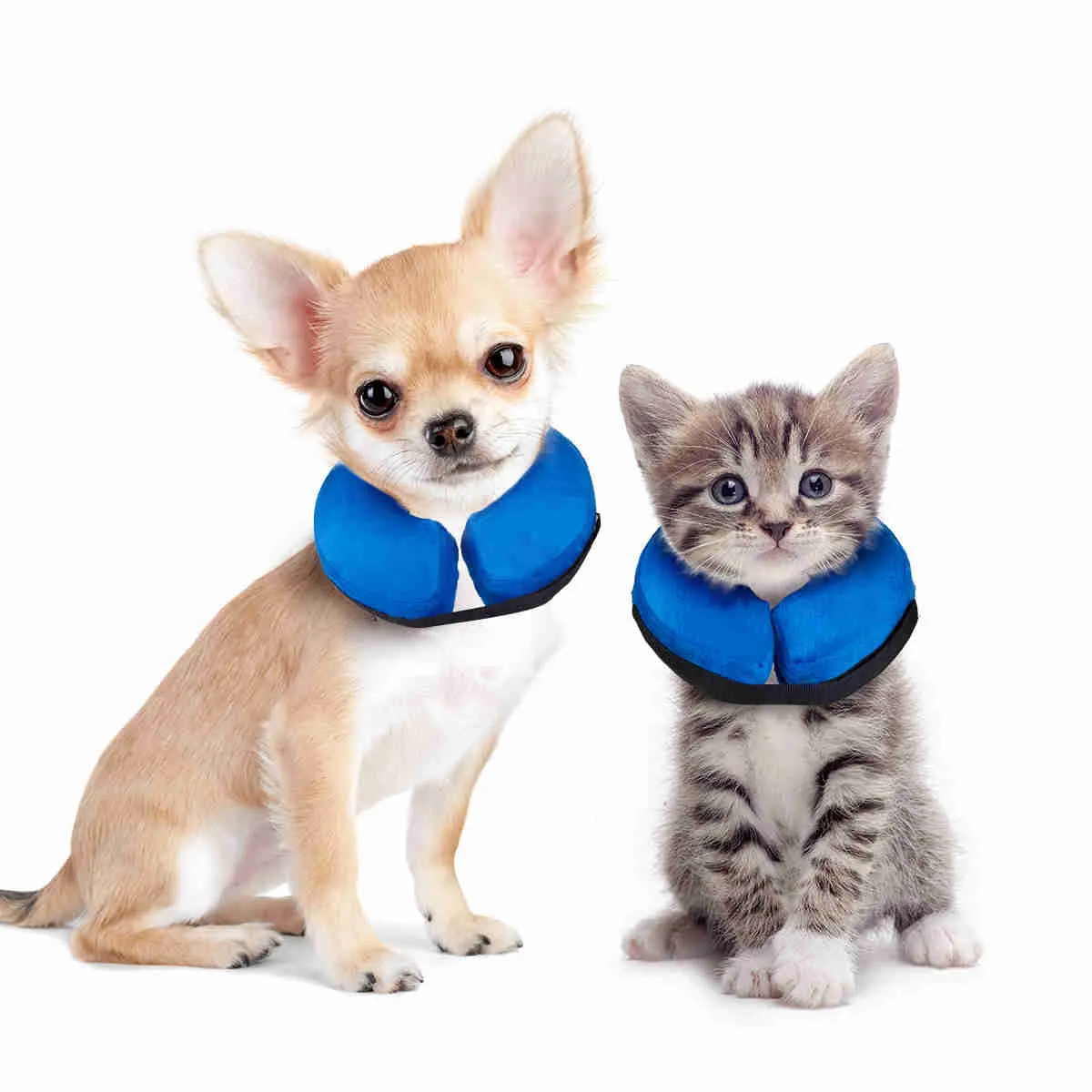 Inflatable Dog Collars-Adjustable Collars for dogs and Cats, 1 Pack (Blue)