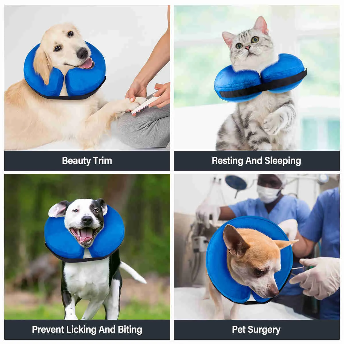 Inflatable Dog Collars-Adjustable Collars for dogs and Cats, 1 Pack (Blue)
