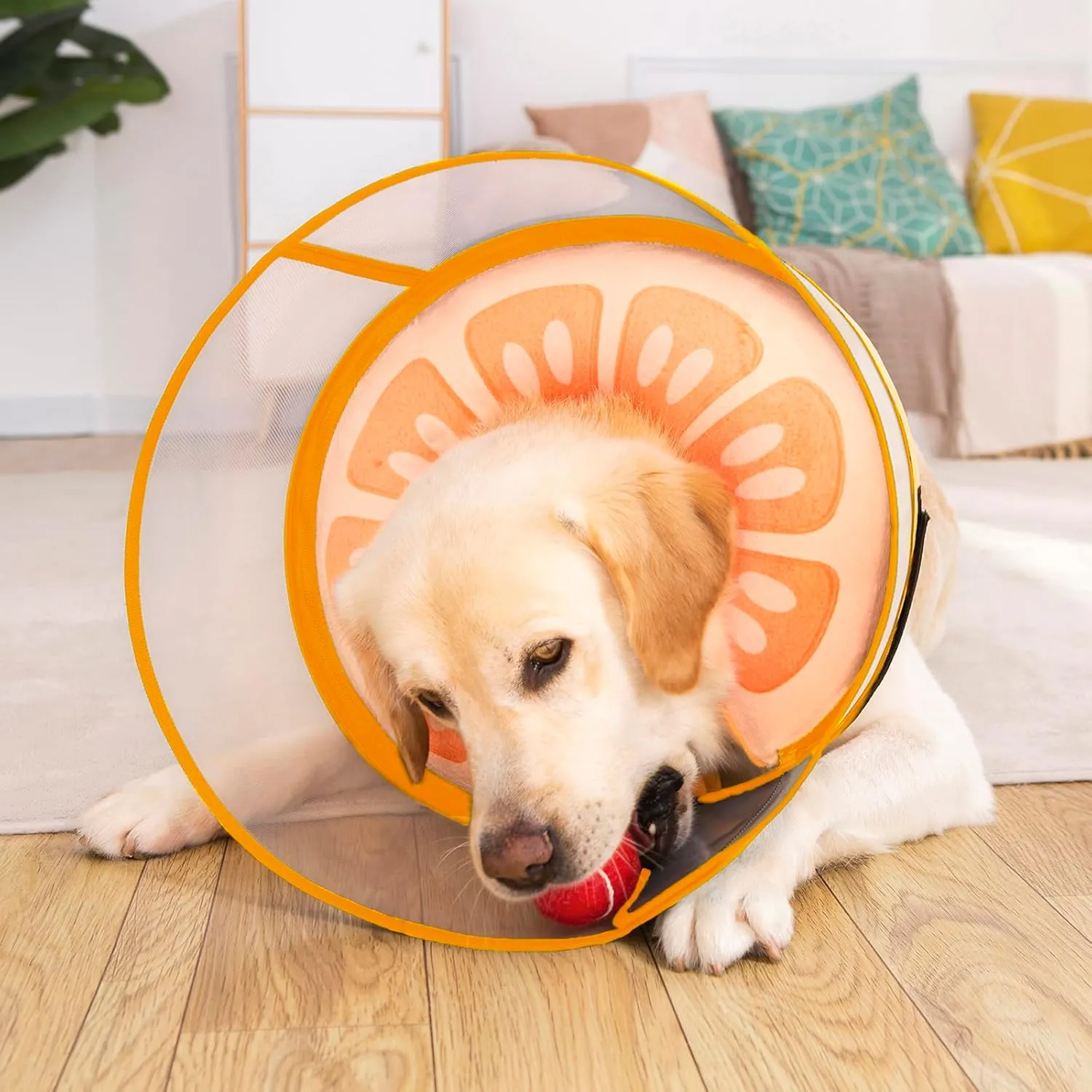 Inflatable Dog Cone Collar for Large Medium Small Dogs, Soft Dog Donut Collar Adjustable Recovery Cone for Pets After Surgery, Extra Enhanced Anti-Licking Guard Shield for Pets (X-Large, Orange)