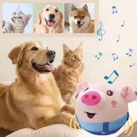 Interactive USB Rechargeable Pet Toy Ball with Sound and Movement