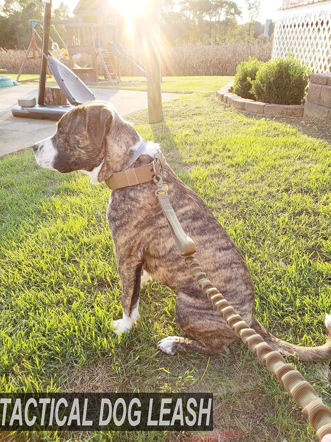 JiePai Tactical Dog Training Bungee Leash Military Dog Leash Quick Release Elastic Leads Rope with 2 Control Handle, 4ft for Medium Large Dogs, Black