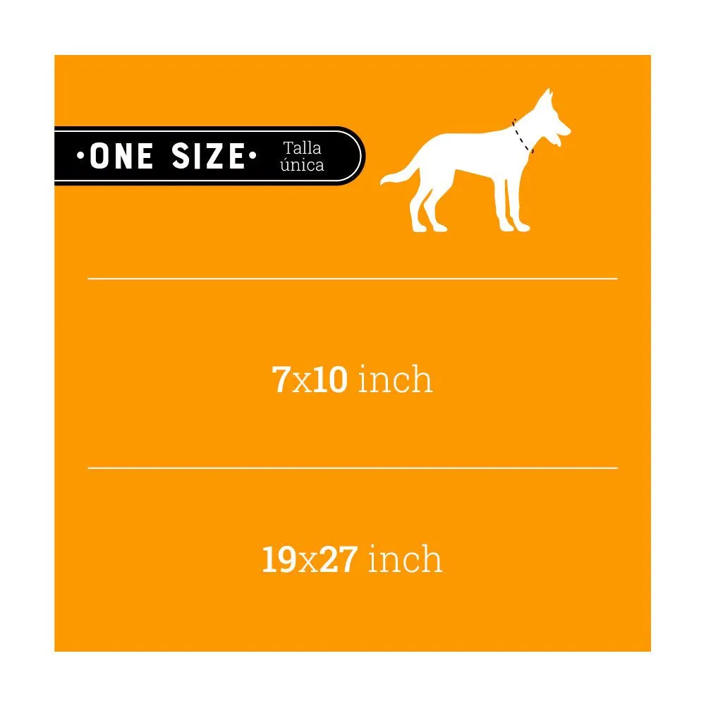 Kanu Pet  Sefaty Release Dog Collar