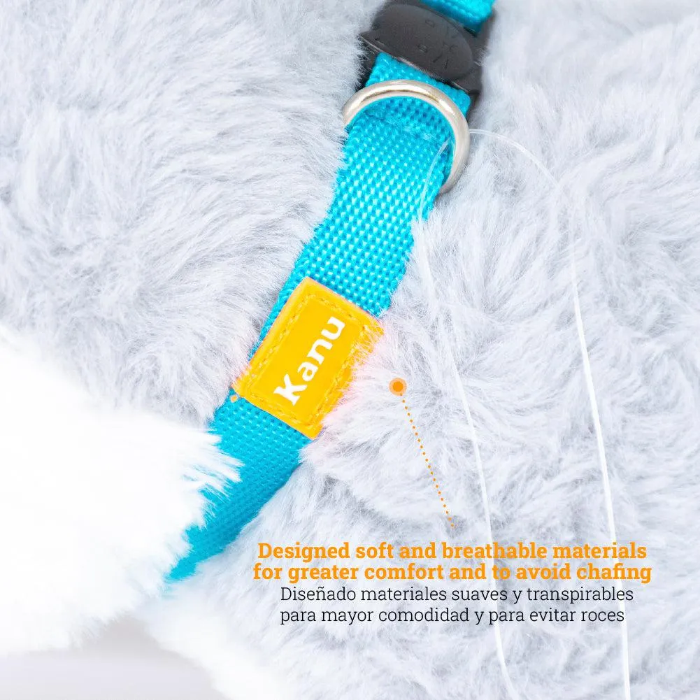 Kanu Pet  Sefaty Release Dog Collar