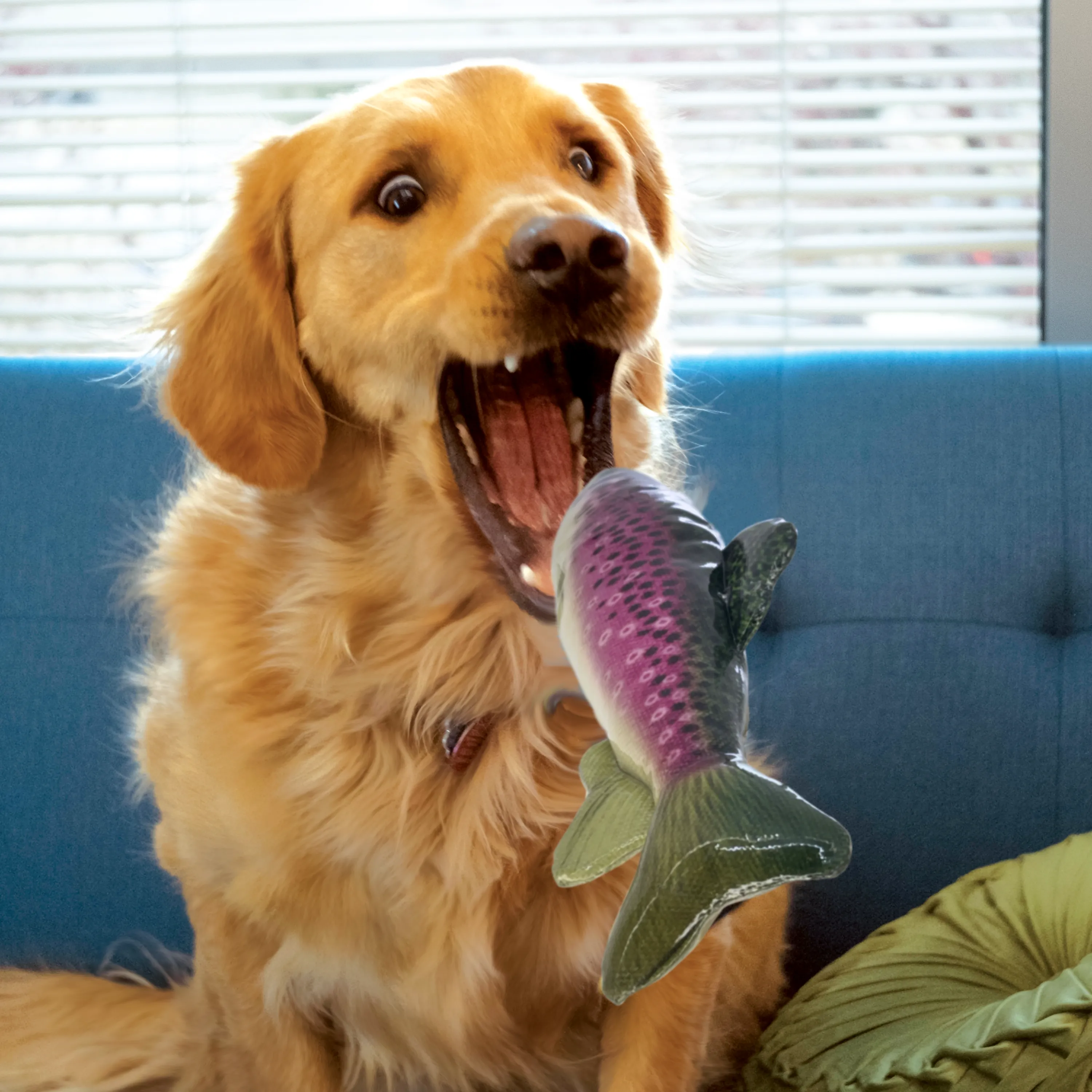 Kong Wild Shieldz Trout, Dog Toy