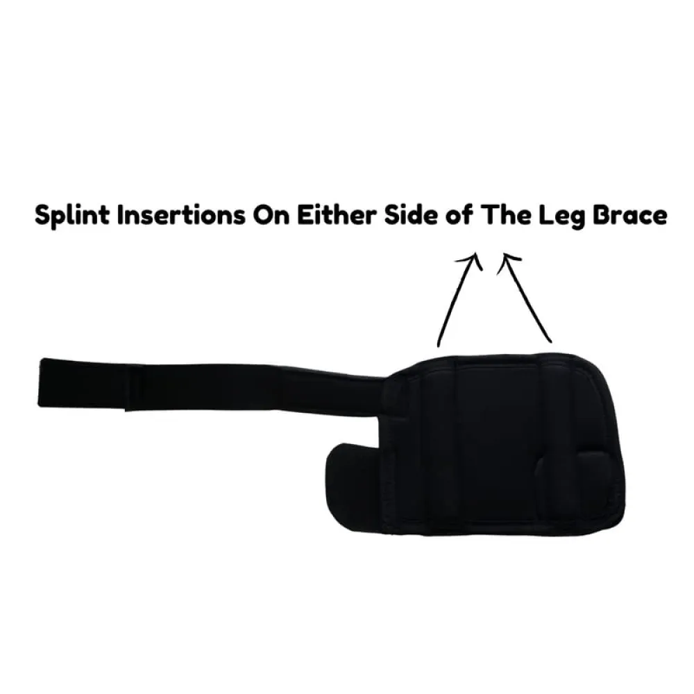 Lana Paws Front Leg Braces for Carpal Support and Mobility for Dogs and Cats (Black)