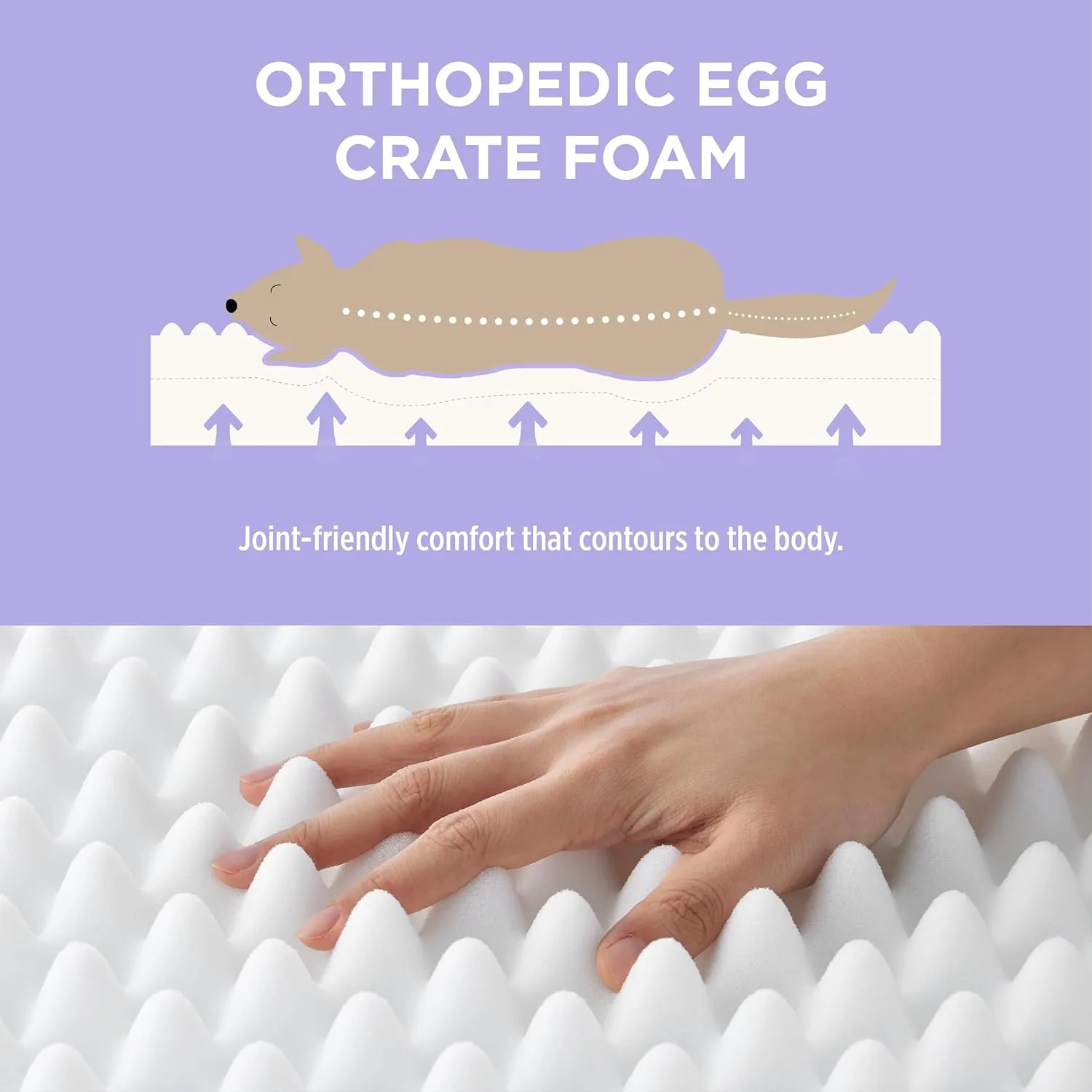 Lesure Cute Orthopedic Dog Bed Large Sized Dog, Waterproof Chic Flat Pet Beds with Removable Washable Cover, Fuzzy Thick Egg Crate Foam Pet Mat for Indoor Use (36" x 27", Brown)