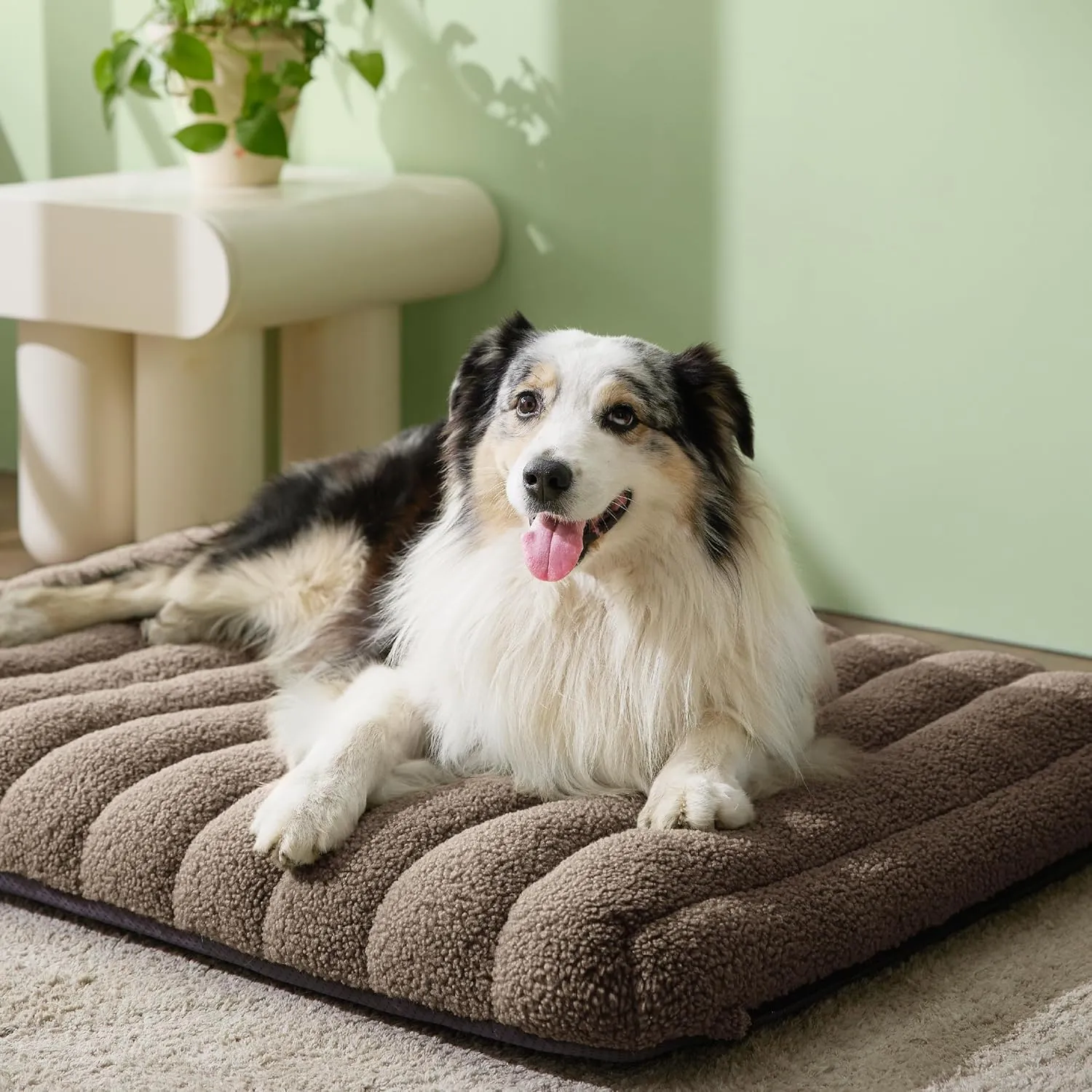 Lesure Cute Orthopedic Dog Bed Large Sized Dog, Waterproof Chic Flat Pet Beds with Removable Washable Cover, Fuzzy Thick Egg Crate Foam Pet Mat for Indoor Use (36" x 27", Brown)