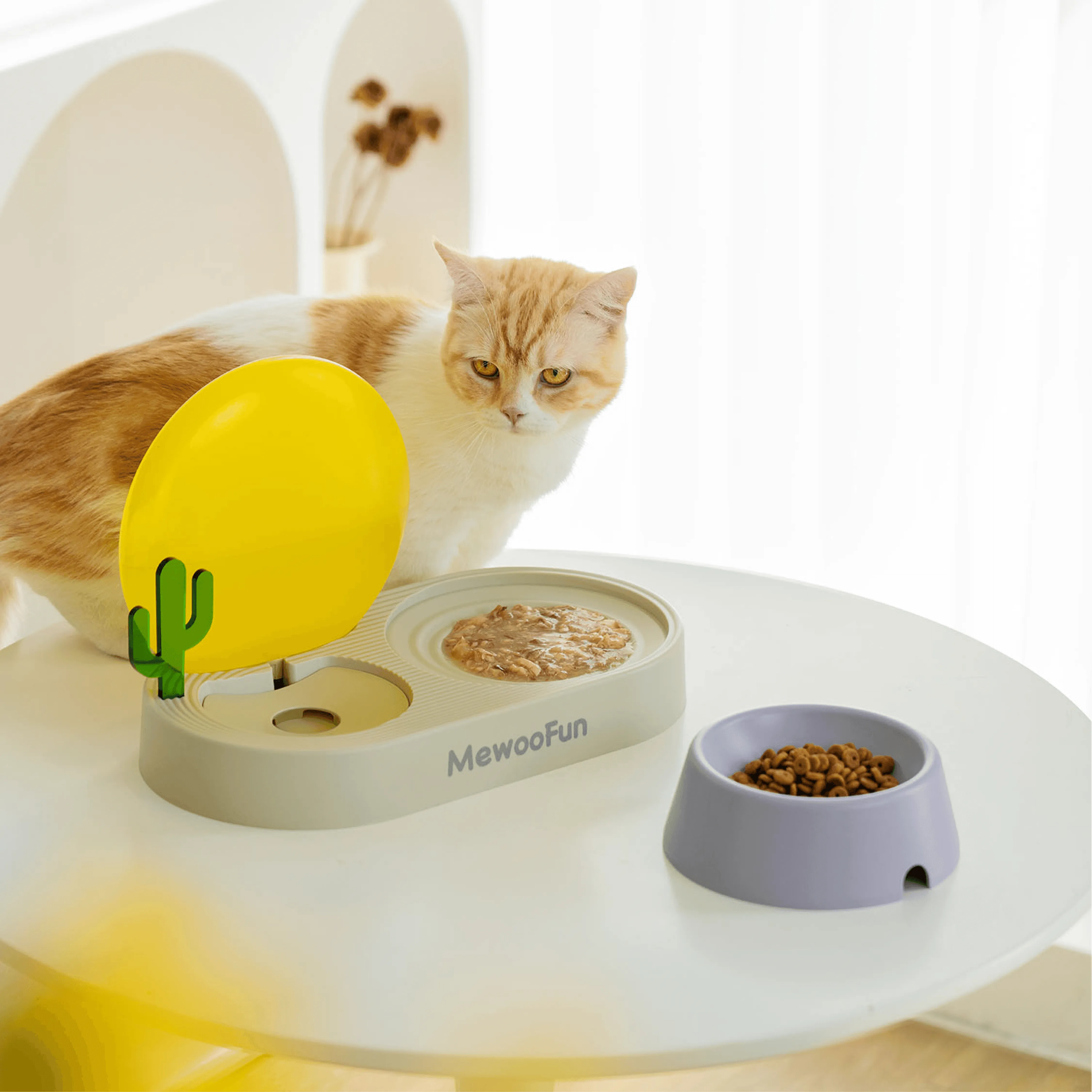 Mewoo - Sunrise 3 in 1 Pet Bowl
