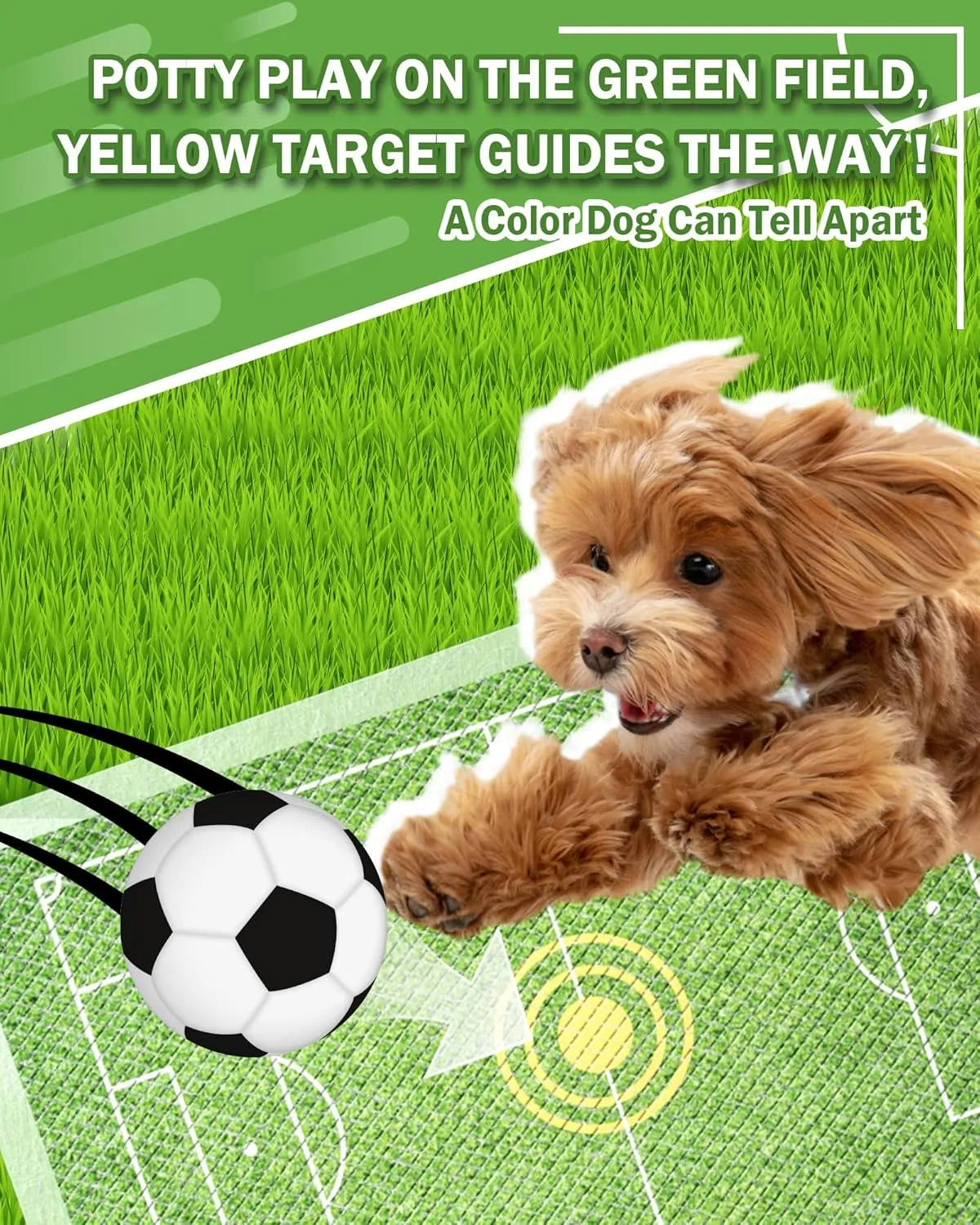 MICOOYO Puppy Pads Pee Pads for Dogs, Disposable Target Dog Pad for Potty Tranning , Soccor Field Design Super Absorbent Doggy Pad for Pets, Puppy, Doggie, Cat (S, 30Count)