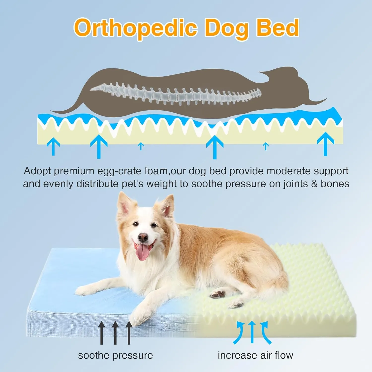 MIHIKK Dog Bed for Crates, Orthopedic Waterproof Bed for Medium Size Dogs, Egg Crate Foam Strong Support for Puppy, Machine Washable Cover & Anti-Slip Bottom & Durable Zipper, 35 * 22 Inch (Blue)