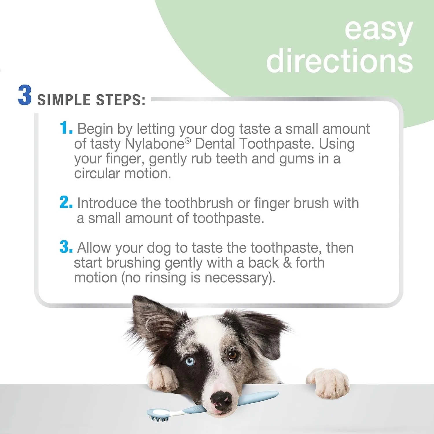 Nylabone Natural Toothpaste for Dogs