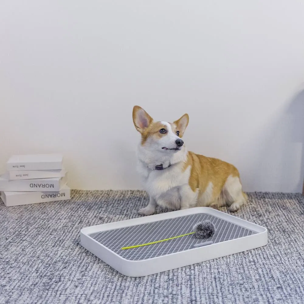 PETKIT PURA DOG Training Pee Tray