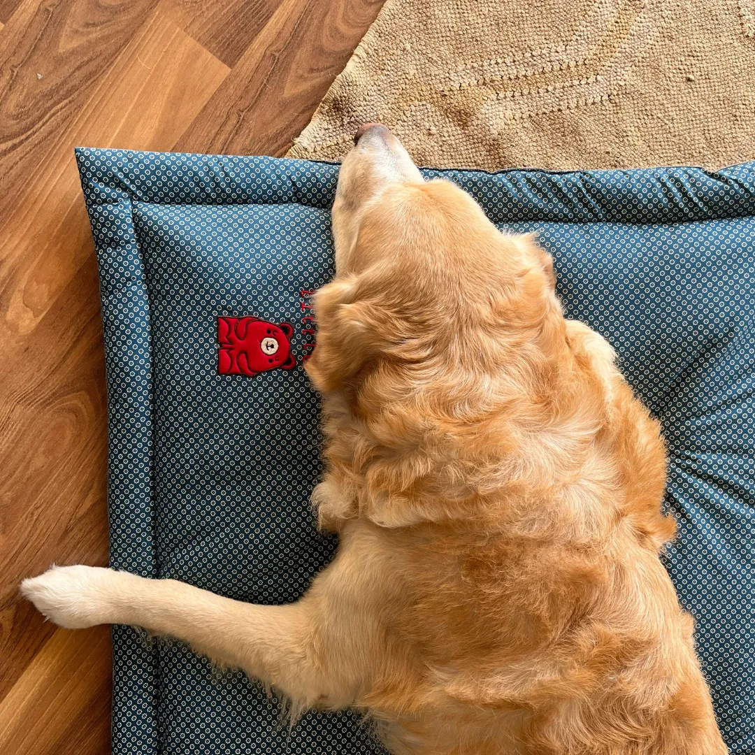 PoochMate Little Bear Dog Mat