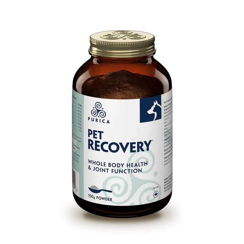 Purica Pet Recovery Extra Strength