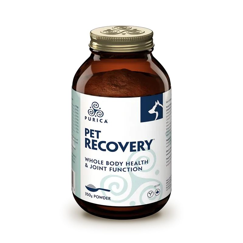 Purica Pet Recovery Extra Strength
