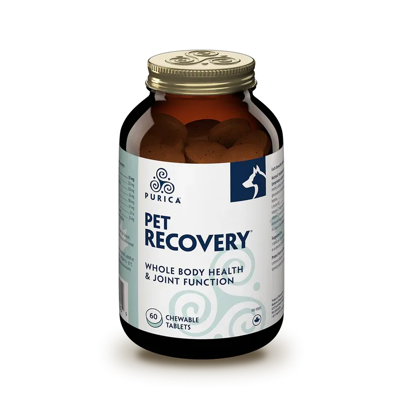 Purica Pet Recovery Extra Strength