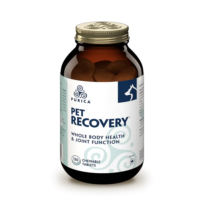 Purica Pet Recovery Extra Strength
