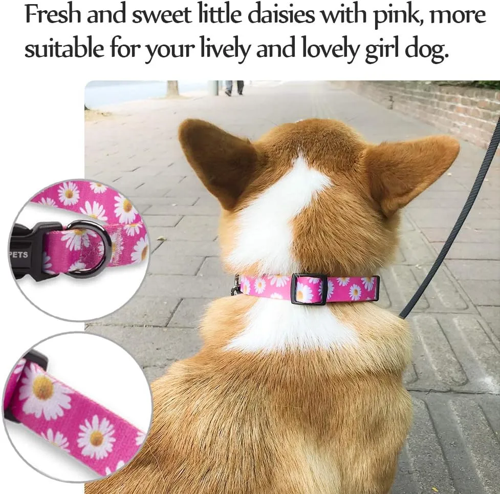 QQPETS Adjustable Soft Dog Collar: Print Flower Pink Multicolor Cute Patterns for XS Small Medium Large Pet Girl Boy Puppy Walking Running Training (S, Small Daisies)